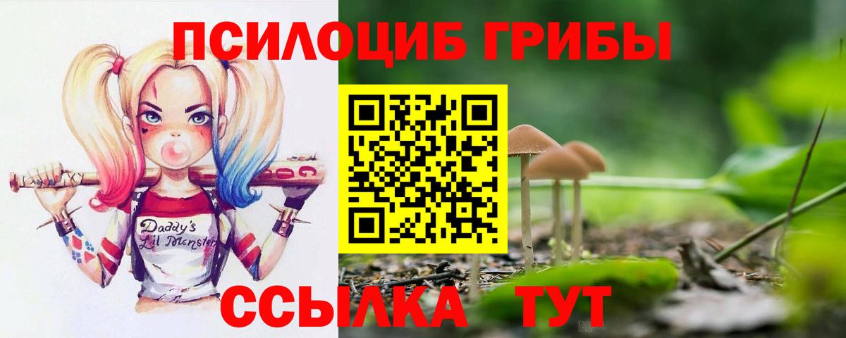 Кашира  Псилоцибиновые грибы прущие грибы  Вход с VPN 